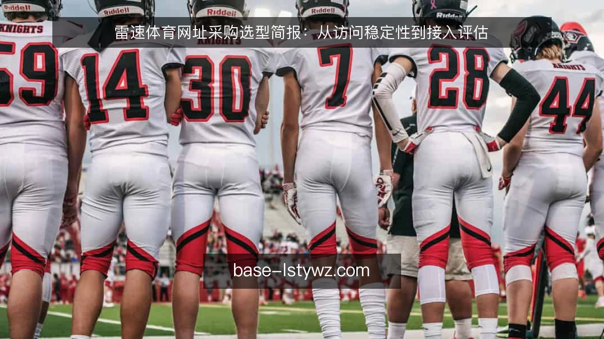 雷速体育网址采购选型简报：从访问稳定性到接入评估