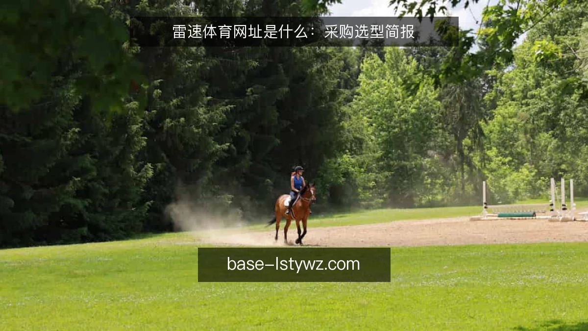 雷速体育网址是什么：采购选型简报
